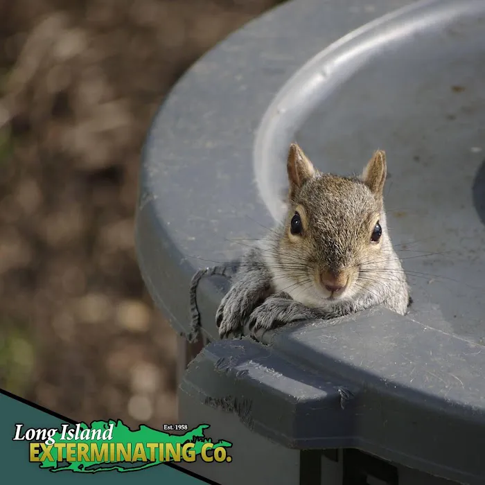 Long Island Exterminating Company Picture 4