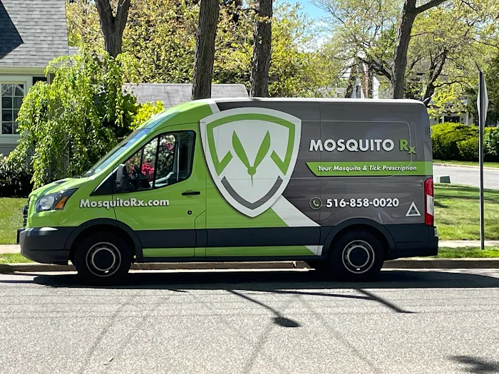 Mosquito Rx Picture 4