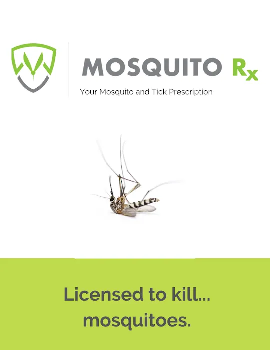 Mosquito Rx Picture 9