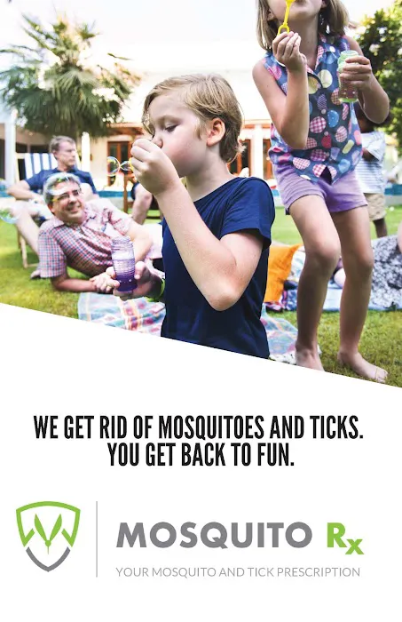 Mosquito Rx Picture 3