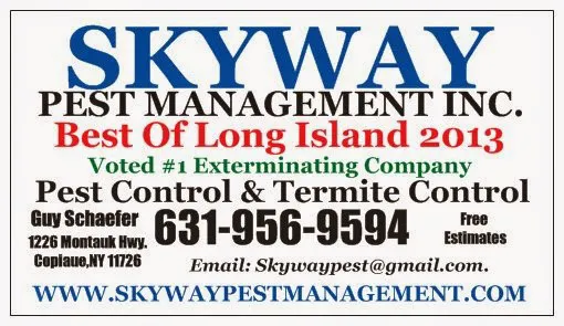 Skyway Pest Management Inc Picture 8