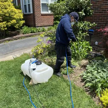 At Last Pest Control Picture 2