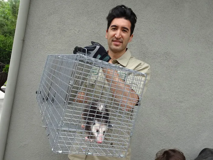 Stamford Animal Exterminator Picture 5