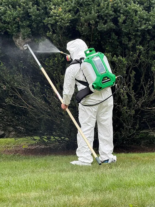 Veganix Pest Management Picture 6