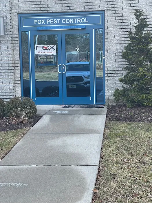 Fox Pest Control Central New Jersey Picture 1