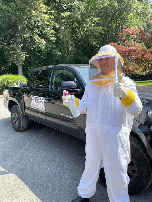 Fox Pest Control Central New Jersey Picture 6