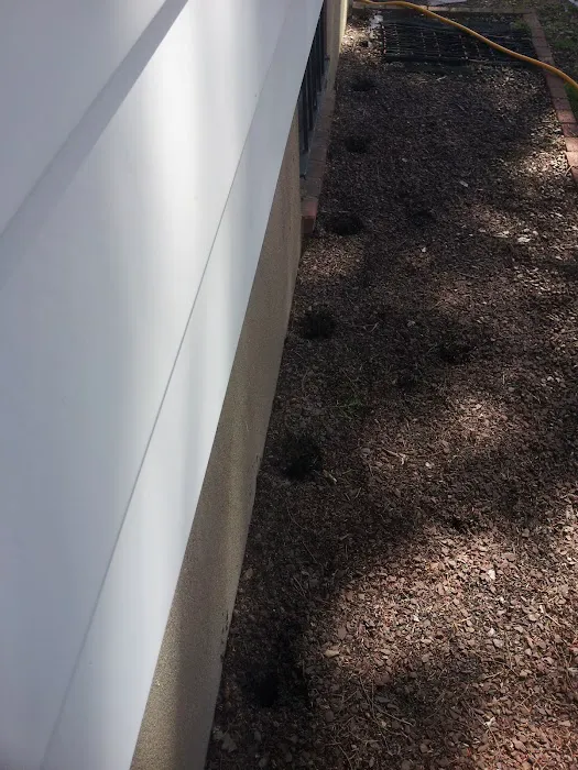 All Bugs Aside Pest Control, LLC Picture 6