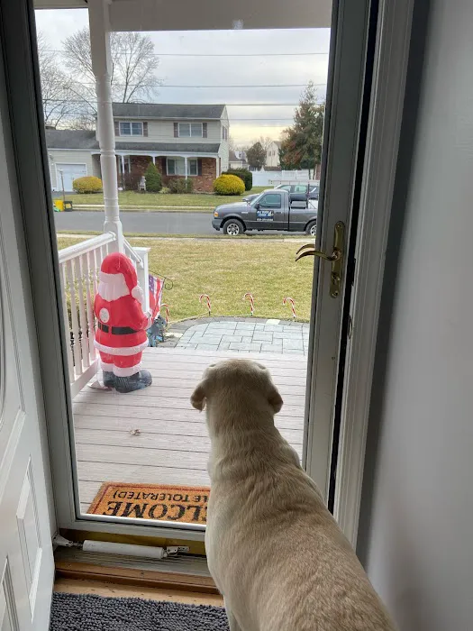 All Bugs Aside Pest Control, LLC Picture 5