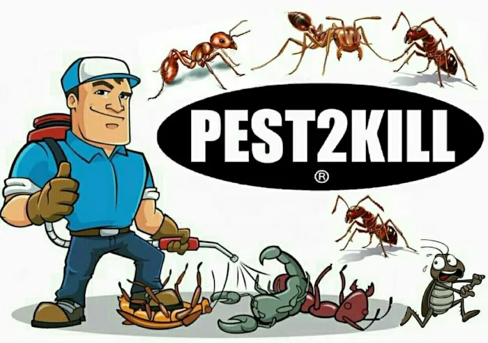 Pest2Kill Exterminating Co Inc Picture 3