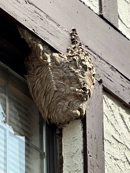 Pest2Kill Exterminating Co Inc Picture 1