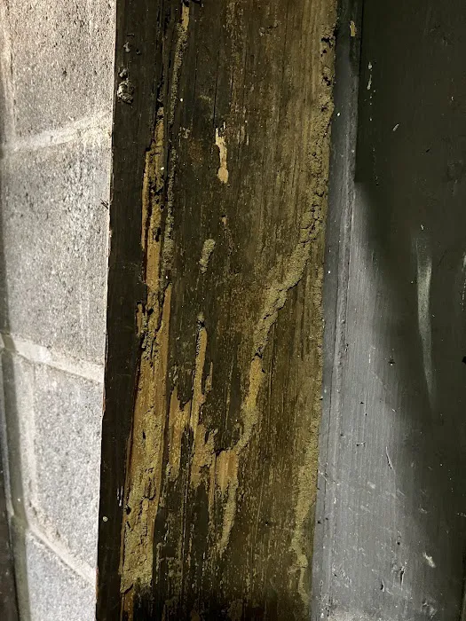 Ali’s Pest Services Inc. Picture 8