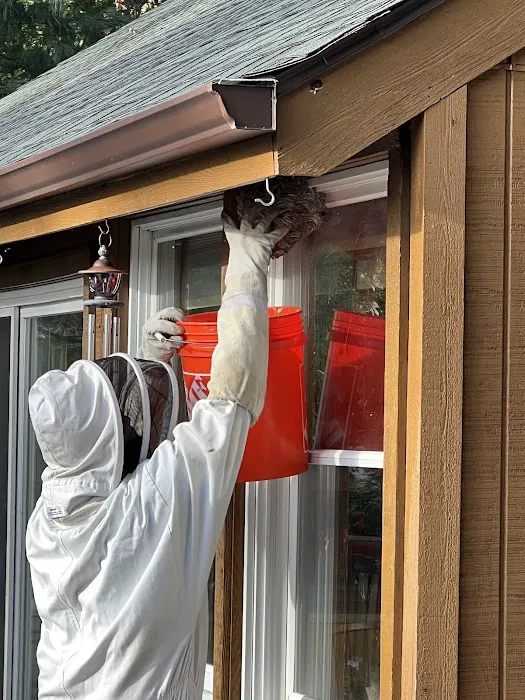 Ali’s Pest Services Inc. Picture 7