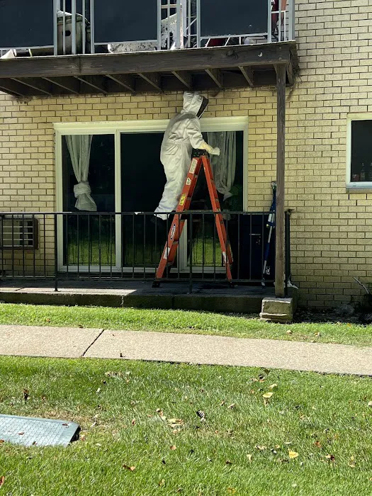 Ali’s Pest Services Inc. Picture 1