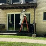 Ali’s Pest Services Inc.