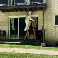 Ali’s Pest Services Inc. ico