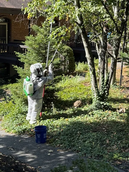 Ali’s Pest Services Inc. Picture 10