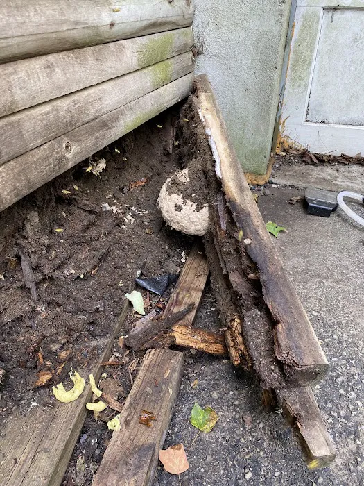 Ali’s Pest Services Inc. Picture 9