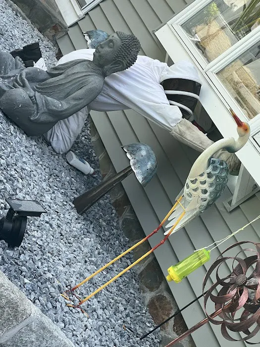 Ali’s Pest Services Inc. Picture 4