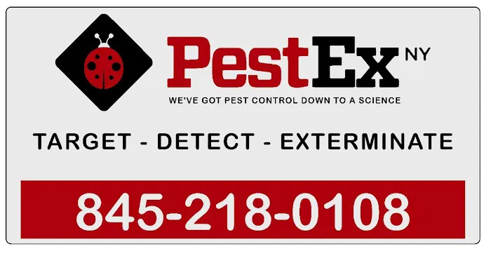 PestEx NY Picture 1