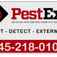 PestEx NY ico
