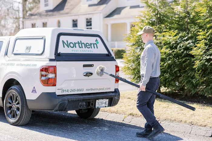 Northern Pest Control Picture 4