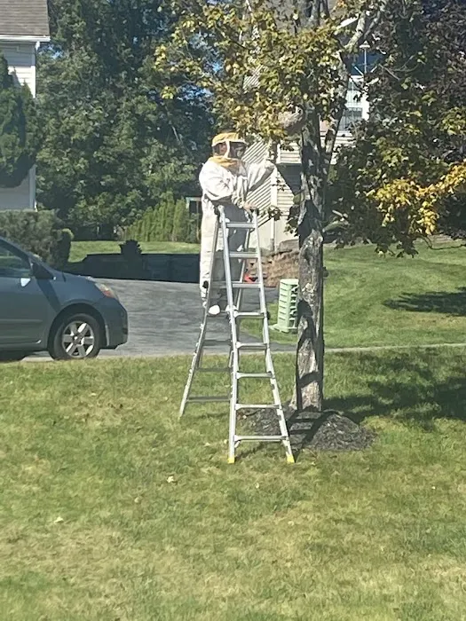 The Bug Buster's LLC, Pest Control Picture 5