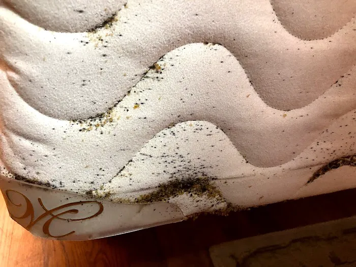 The Bug Buster's LLC, Pest Control Picture 8
