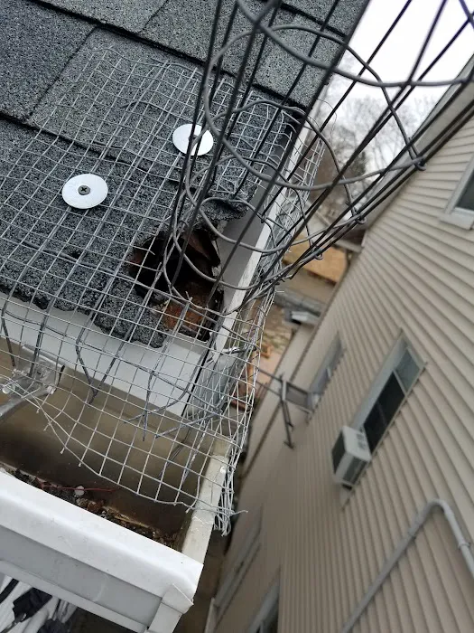 LaHara Pest, Termite And Wildlife, Services LLC. Picture 10
