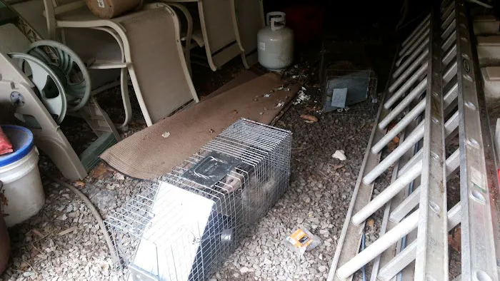 LaHara Pest, Termite And Wildlife, Services LLC. Picture 4