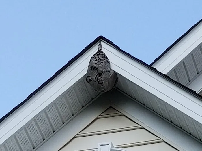 Bug Us Pest Control LLC Picture 6