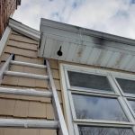 Precision Termite & Pest Control