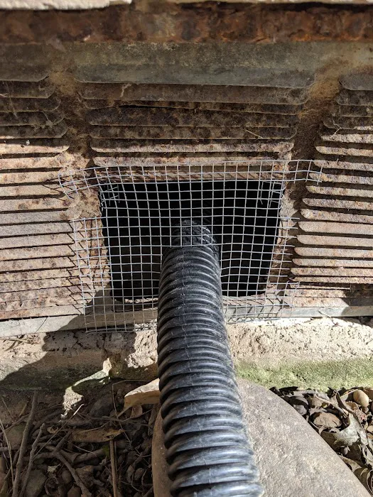 Precision Termite & Pest Control Picture 9