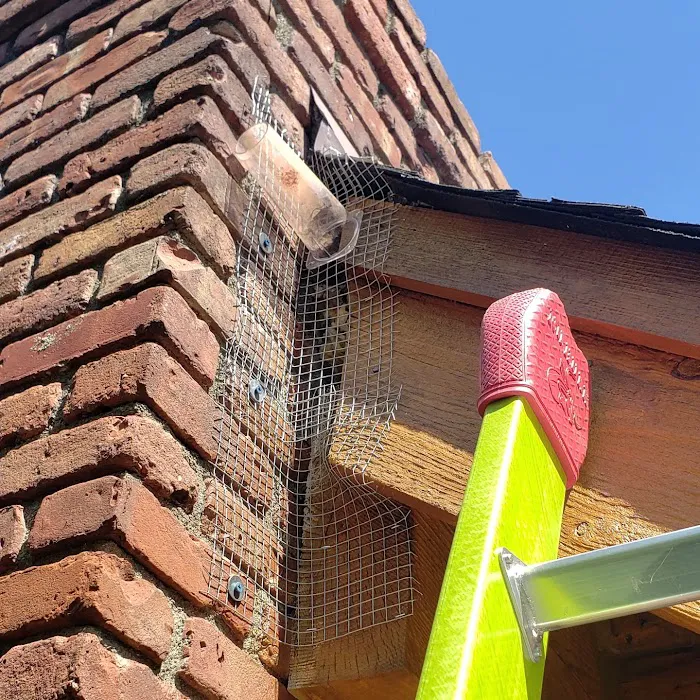 Precision Termite & Pest Control Picture 7