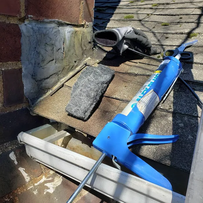 Precision Termite & Pest Control Picture 3