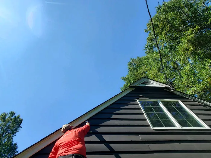 Simply The Best Pest Control Picture 3