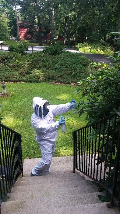Simply The Best Pest Control Picture 7