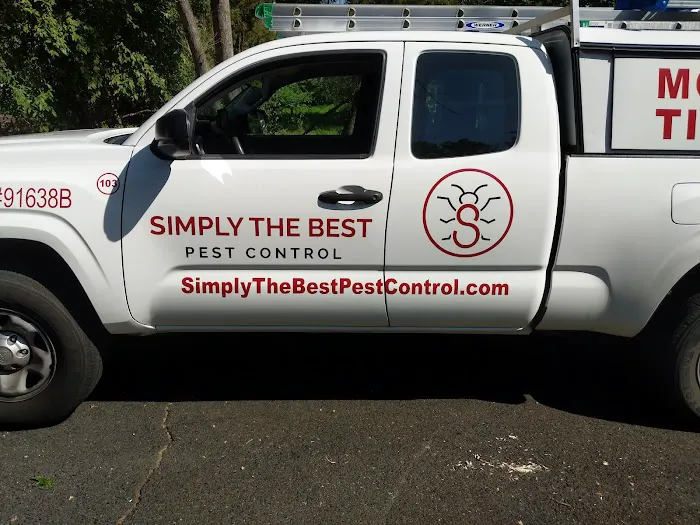 Simply The Best Pest Control Picture 10