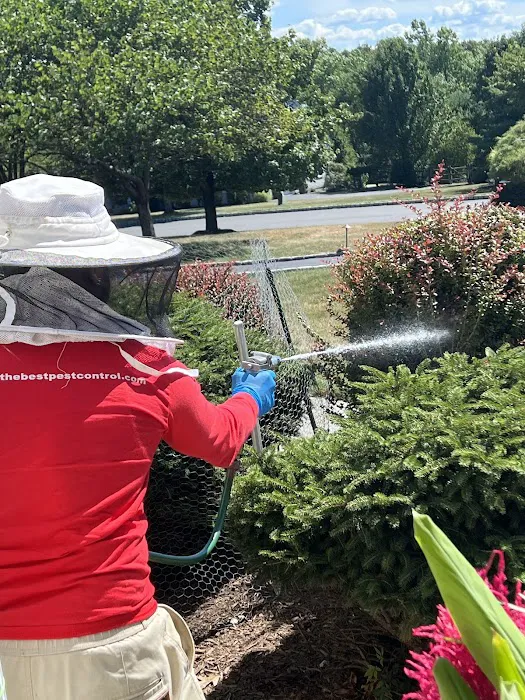 Simply The Best Pest Control Picture 4