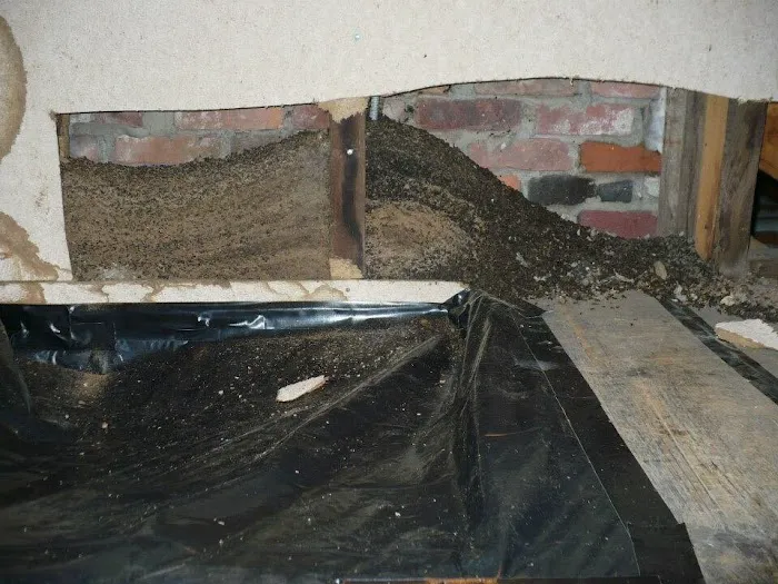 Wildlife Control Specialists Picture 5