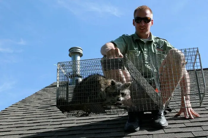 Wildlife Control Specialists Picture 1