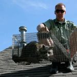 Wildlife Control Specialists