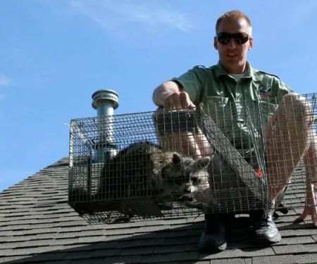 Wildlife Control Specialists