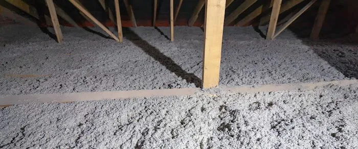 Amco Pest Solutions, Inc. Picture 7
