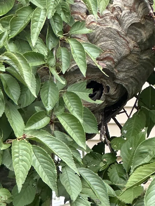 Mid-Atlantic Pest Control Picture 1