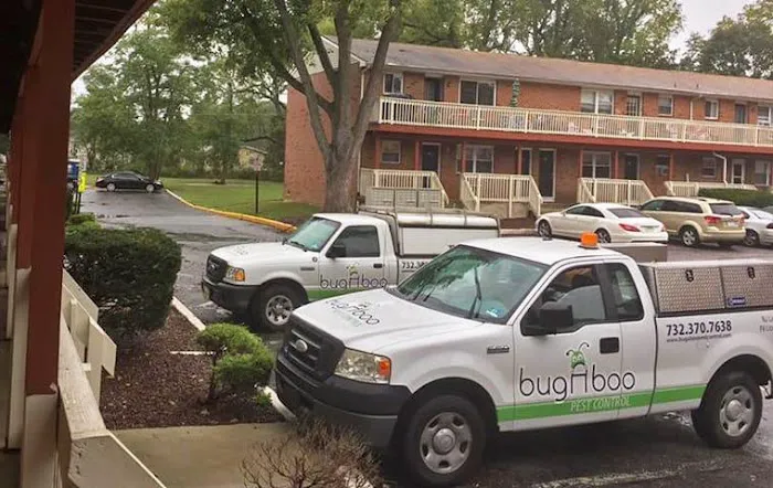 Bugaboo Pest Control Picture 3