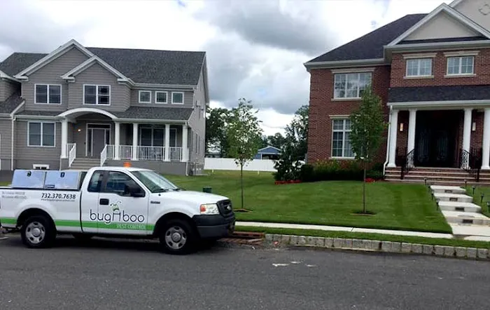 Bugaboo Pest Control Picture 1