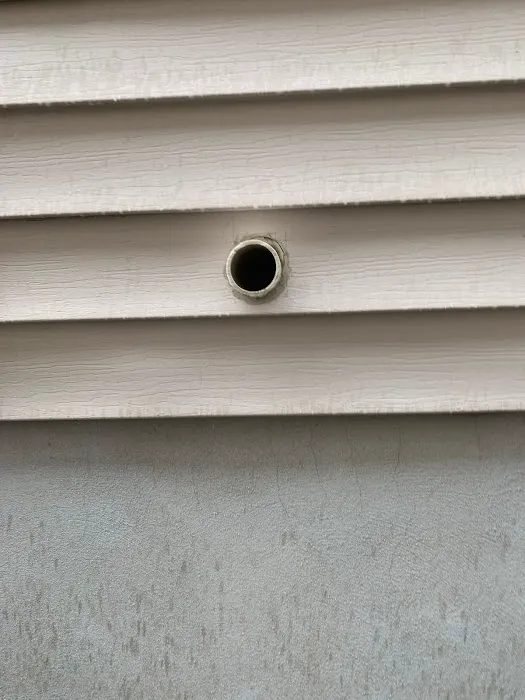 Bugaboo Pest Control Picture 7