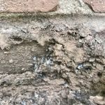 A to Z Pest Control