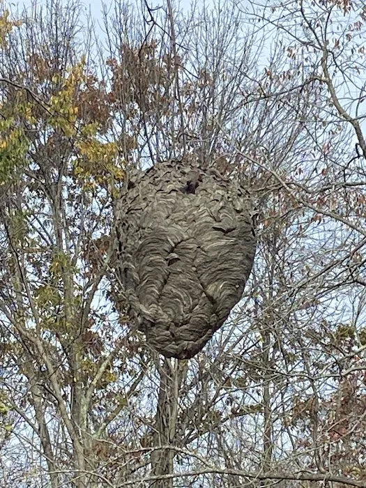 Truly Nolen Pest Control - Ocean County Picture 4
