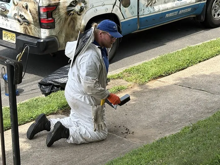 Cowleys Pest Services Picture 10